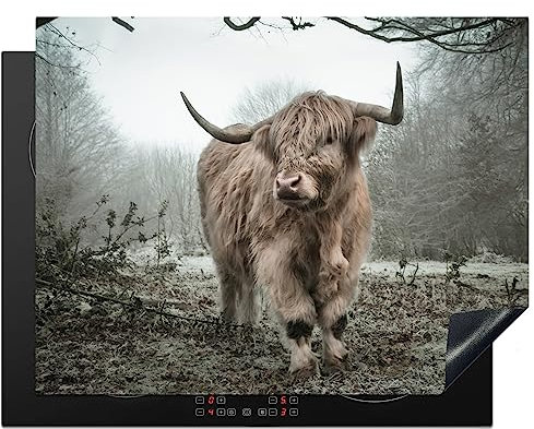 KitchenYeah© Herdabdeckplatte Einteilig Induktionsmatte Küche Abdeckung Ceranfeld Herd Abdeckplatte Deko Vinyl Matte Aufrollbar Schottisches Hochlandrind - Kuh - Herbst - Tiere - Fell - 77x59 cm