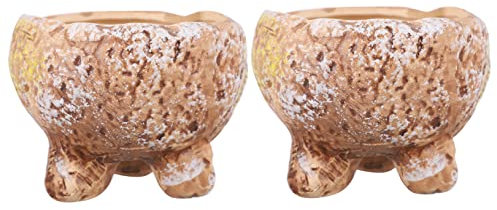 KONTONTY 2piezas Maceta Pequeña Cerámica para Plantas Suculentas De Macetero Decorativo con Diseño Floral para Escritorio y Jardín Interior o Exterior