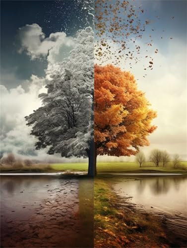 Peinture par Numero Adulte arbre des quatre saisons Peinture Numero Enfant,Bricolage Loisirs Créatifs Adultes Peinture Numero Arbre Peinture par Numéro,Tableau Decoration Murale,Cadeau,60x80cm L-19824