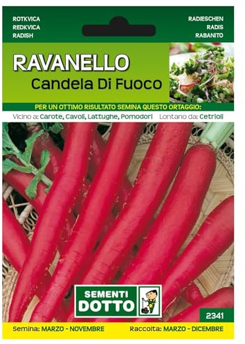 Sicignano Semi Ravanello Candela di Fuoco - Pianta Crucifera Medio-Precoce, Radice Rossa 15cm, Busta Extra - 1 Confezione da 10g, Semina Marzo-Novembre, Raccolta Marzo-Dicembre