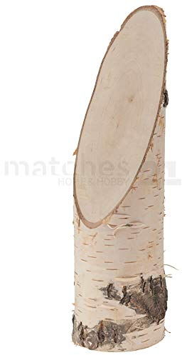 Natürlicher Birkenholzstamm schräger Schnitt - rustikaler Deko-Baumstamm aus Birke Echtholz für DIY-Bastelprojekte, Tischdeko, Adventsgestecke & kreative Ideen - Holzstamm Ø 80-110 mm x 350 mm