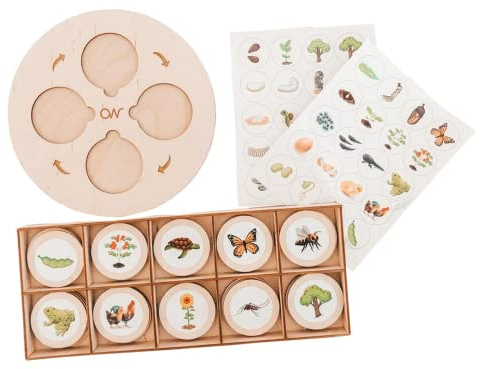 zalati Life Cycle Tray Kit Lernkarten-Spielzeug Montessori mit Holzplatte für lehrreiches und lustiges Zuordnungsspiel für Kinder ab 3 Jahren