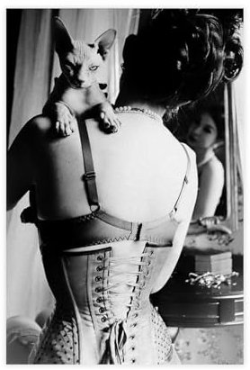 THEGIS Helmut Newton Art 17 Leinwand-Poster, Schlafzimmer, Dekoration, Sport, Landschaft, Büro, Raumdekoration, Geschenk, ungerahmt, 40 x 60 cm