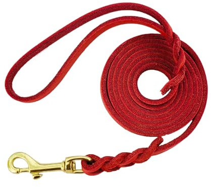 LWBMG Leder-Hundeleine für kleine Hunde, 1,8 m, dünne geflochtene Hundeleine, weiches Echtleder, Trainingsleine für kleine und mittelgroße Hunde, 1,9 x 1,8 m, Rot