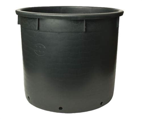 Pasquini & Bini Giant Plant Pot 160L, D80 H51cm
