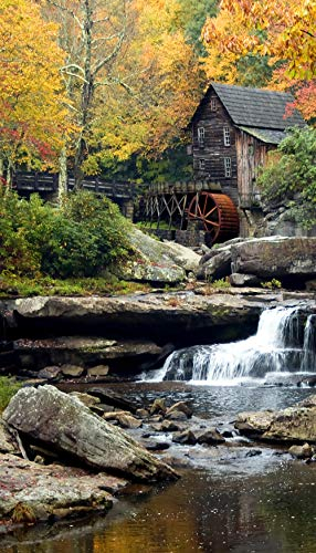 AG Design Vintage Water Mill Curtains for Living Room, Kitchen, Bedroom, Garden Shed, 140 x 245 cm, 1 Piece, FCP L 6599, Multi-Colour