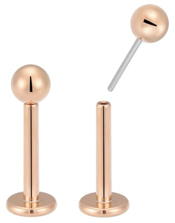 (20G 8mm) Titan Implant Grade Trådlös Labret Monroe Läppboll Tragus Septum Näsa Helix Rook Brosk Örhängen Kroppspiercing Smycken