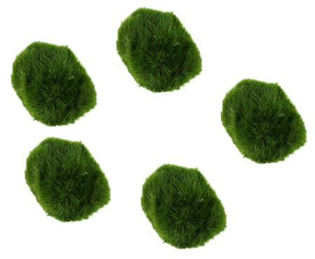 Biotope Aquatics Ltd - Live Marimo Moss Balls, Cladophora aegagropila Moss Ball, Aquarium Plant (5 x Moss Balls (2-3cm))