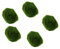 Biotope Aquatics Ltd - Live Marimo Moss Balls, Cladophora aegagropila Moss Ball, Aquarium Plant (5 x Moss Balls (2-3cm))