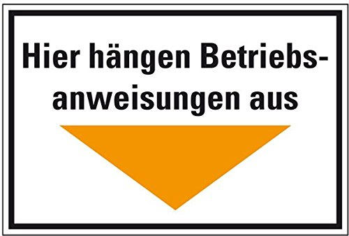 LEMAX® Hinweisschild Hier hängen Betriebsanweisungen aus, gelb, Kunststoff, 300x200mm