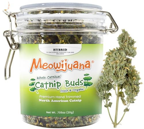 Meowijuana | Dried Catnip Buds Jar | 20 grams | Premium Catnips | Grown in North America | Perfect for Cat Toys | Fresh Catnip for Extended Playtime | Elevate Your Cat's Enjoyment