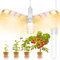 LED Pflanzenlampe, 150w pflanzenlampe vollspektrum mit 414 LEDs faltbaren für Zimmerpflanzen, Gewächshaus und Hydroponikanbau, Growlampe mit E27 Netzkabel