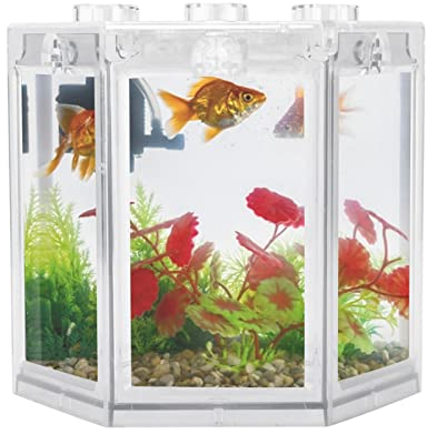 Mini aquarium, petit aquarium aquarium design d'angle rond forme hexagonale pour la décoration de bureau;(transparent)