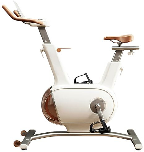 Vélo d’appartement Sophy W1+ – Entraînez-vous à la maison comme en salle de sport