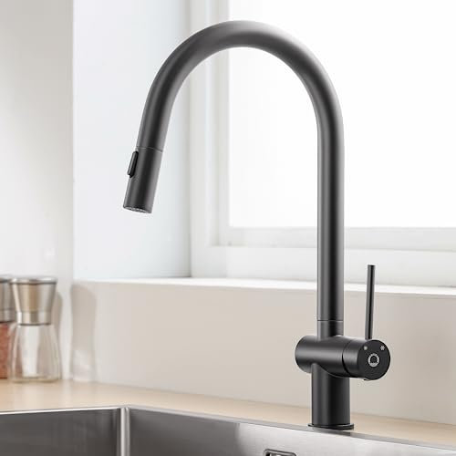 CECIPA Wasserhahn Küche Schwarz, Ausziehbar, Hochwertige Spültischarmatur Küche aus Edelstahl, 360° Drehbar, 2 Sprühmodi, Wassersparend und Langlebig, Geeignet zum Spülen von Waschbecken und Geschirr