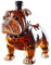 Bulldog Whisky Decanter divertente a forma di animale bottiglia di whisky in da collezione novità per uomini degustazione casa birra evento addio al celibato matrimonio collezionista festa del