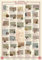 Educational - Bildung Genius of Leonardo da Vinci Bildungsposter Plakat Druck - Version in Englisch - Grösse 68x98 cm