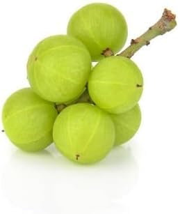 Semillas de grosella espinosa, 100 unidades, color verde