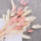 50 Stück 45cm Getrocknete Pampasgras Deko Pampasgras Getrocknet Lagurus Trockenblumen Strauß Dried Flowers, Blumendekoration, für Blumen Arrangements Heim Decor (25Pcs White+25Pcs Pink)