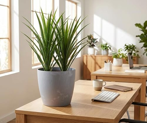 Concrete Effect Medium Plant Pot 25cm x 22cm - Plastic Indoor Outdoor Flower Pot, Modern Garden Planter for House Plants, Garden, Patio & Balcony, Lightweight Decorative Planter, Grey