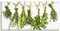 ARTLAND Wanddeko Leinwand Bilder Wandbild 100x50 cm Kräuter Gewürze Pflanzen Lebensmittel Mediterran T3WN