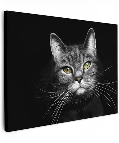 MuchoWow© Impression sur Toile Decoration Murale Peinture 40x30 cm Tableau Art Décoratif Muraux Décoration Chambre Chat - Yeux - Noir et blanc - Animaux