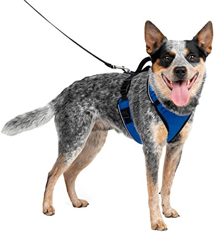 PetSafe EasySport Geschirr, Elastischer Halsausschnitt, Gepolsterter Griff, Für Hunde von 11,3 kg bis 22,5 kg, Größe M, Blau