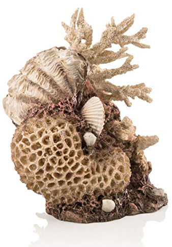 biOrb 48360 Korallen-Muschel Ornament Natural - Pflegeleichte Aquariendekoration, Korallenriff für Modell TUBE ab 30L und Classic 105L
