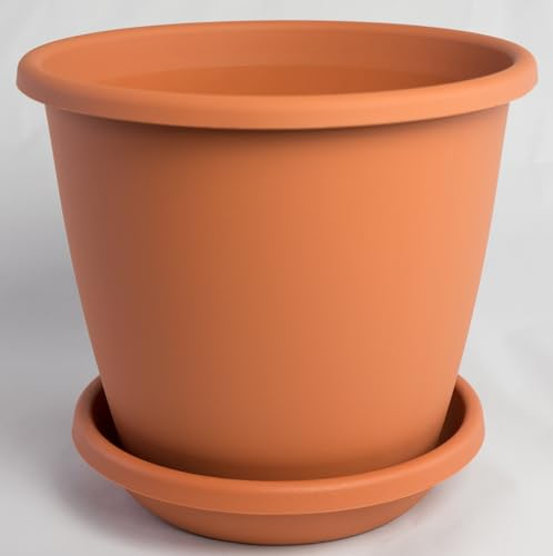 Pot de fleurs Nevada avec soucoupe assortie en différentes couleurs et tailles, couleur : terre cuite, diamètre : 10 cm