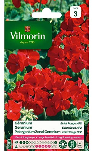 Vilmorin - Geranium Eclat Rouge