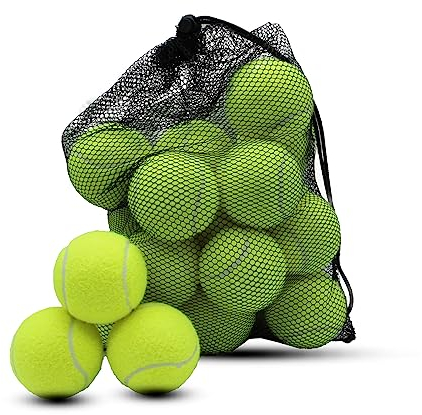 Swingers Tennisbälle, Trainingsbälle für Haustiere, Hunde, hohe Elastizität, Übungsbälle für Anfänger, mit Netz-Tragetasche, leicht zu transportieren, Gelb, 20 Stück