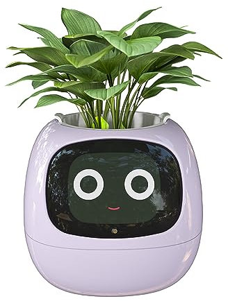 Masdio Pots de Fleurs intelligents, avec Intelligence Artificielle, Affichage de l'heure et de Nombreuses animations expressives basées sur l'environnement, pour décoration intérieure (Violet)