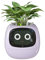 Masdio Pots de Fleurs intelligents, avec Intelligence Artificielle, Affichage de l'heure et de Nombreuses animations expressives basées sur l'environnement, pour décoration intérieure (Violet)