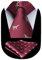 HISDERN Burgund Krawatte für Herren Dinosaurier Hochzeit Taschentuch Business Klassisch Krawatte und Einstecktuch Set
