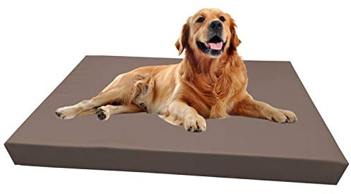 Barry & Lucy® Hundebett aus Kunstleder – Orthopädisches Hundekissen mit abnehmbarem Bezug wasserabweisend & pflegeleicht in 2 Größen Robustes Bett (125x100x10, moca)