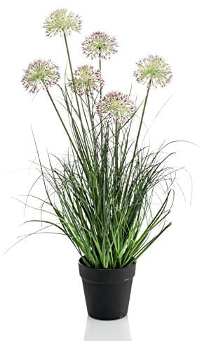 artplants.de Dekogras Zierlauch GARAGANT, lila-grün, 70cm - Zierlauch Deko/Allium Kunstblume