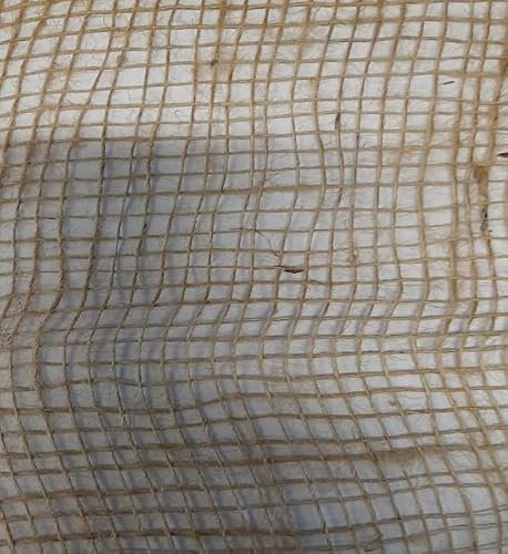 Pierucci Agricoltura Rotolo di Juta Naturale Maglia 125GR. (Misura h100cm x 10mt Lunghezza)