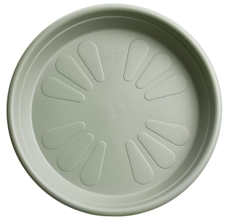 Elho Soucoupe Universel Ronde 25 - Soucoupe pour Intérieur & Extérieur - Ø 25.0 x H 3.8 cm - Ø 25.0 x H 3.8 cm - Vert/Vert Thym