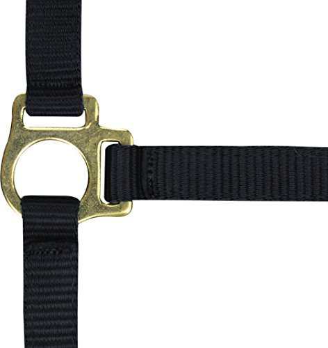 Fohlenhalfter mit verstellbarem Nasen- und Genickriemen Ekkia schwarz