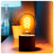 SSC-LUXon NAMBI kleine Tischlampe LED mit Kabel inkl. Vintage Retro E27 Filament Globe Birne - Nachttischlampe LED rund schwarz