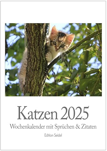 Edition Seidel Premium Kalender Katzen Wochenkalender 2025 Format DIN A4 Wandkalender Katzenkalender mit lustigen Sprüchen und Zitaten Tiere Katze Kater Kitten Kätzchen