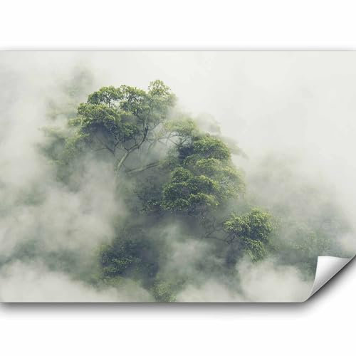 murando - Fototapete Premium-Vlies Wald im Nebel, 300x210 cm, Schlafzimmer