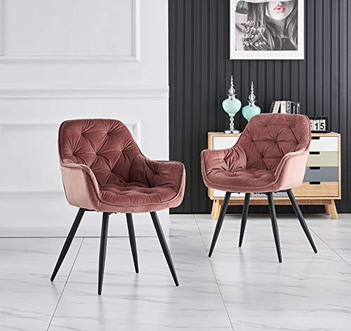 JaHECOME Esszimmerstuhl,Sessel,Samt,Wohnzimmerstuhl,Farbe wählbar,Retro-Design,Stoff,gepolsterter Sitz mit Rückenlehne,Schwarze Metallbeine für Küche, Schlafzimmer, Esszimmer(Pink,2)