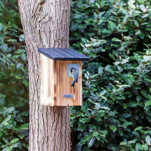 CJ Wildlife Nistkasten – Vogelnistkasten für draußen wetterfest – 28 mm Einflugöffnung für Meisen – Integrierter Schutz-Tunnel – FSC-Holz schwarz/braun
