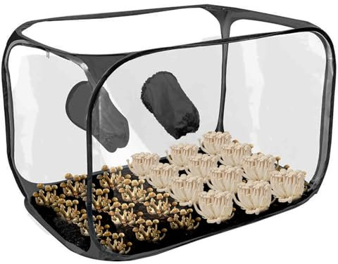 Teksome Box di coltivazione di funghi, vasca per coltivazione di funghi - Mushroom Grow House Indoor | Serra ventilata per impianto aria trasparente.
