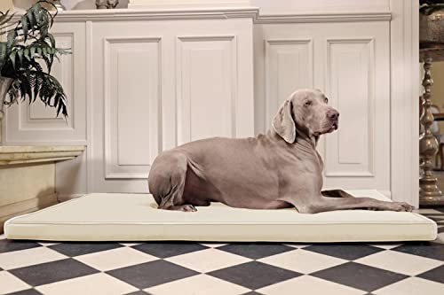 tierlando® Carlos Ortho-Medic Orthopädische Hundematte Kunstleder Visko Hundebett Matratze Größe: L - 100x80cm - CA4 | Farbe: 05 Creme