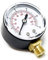 Wiltec Druckanzeige für Druckbehälter, 56 x 30 x 70 mm, Manometer radial DN8 (1/4) 12,9 mm, 0-12 bar (0-170 PSI), Durchmesser 50 mm, für Hauswasserwerk, Membranpumpe