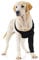 Suitical Recovery Sleeve Hund, M, Schwarz