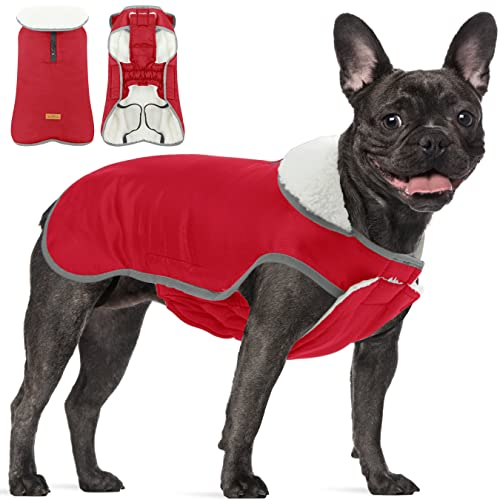 Winter Hundemantel mit Bauchschutz, Reflektierende Warme wasserdichte Hundejacke, Winddicht Hundekleidung Outfit Weste für Mittlere Große Hunde, Red XL