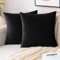 EMEMA Samt Kissenbezug Kissenhülle 40x40 cm Dekorative Dekokissen Schwarz Sofakissen Lendenkissen Wurfkissenbezug mit Verstecktem Reißverschluss Schlafzimmer Sofa 2er Set